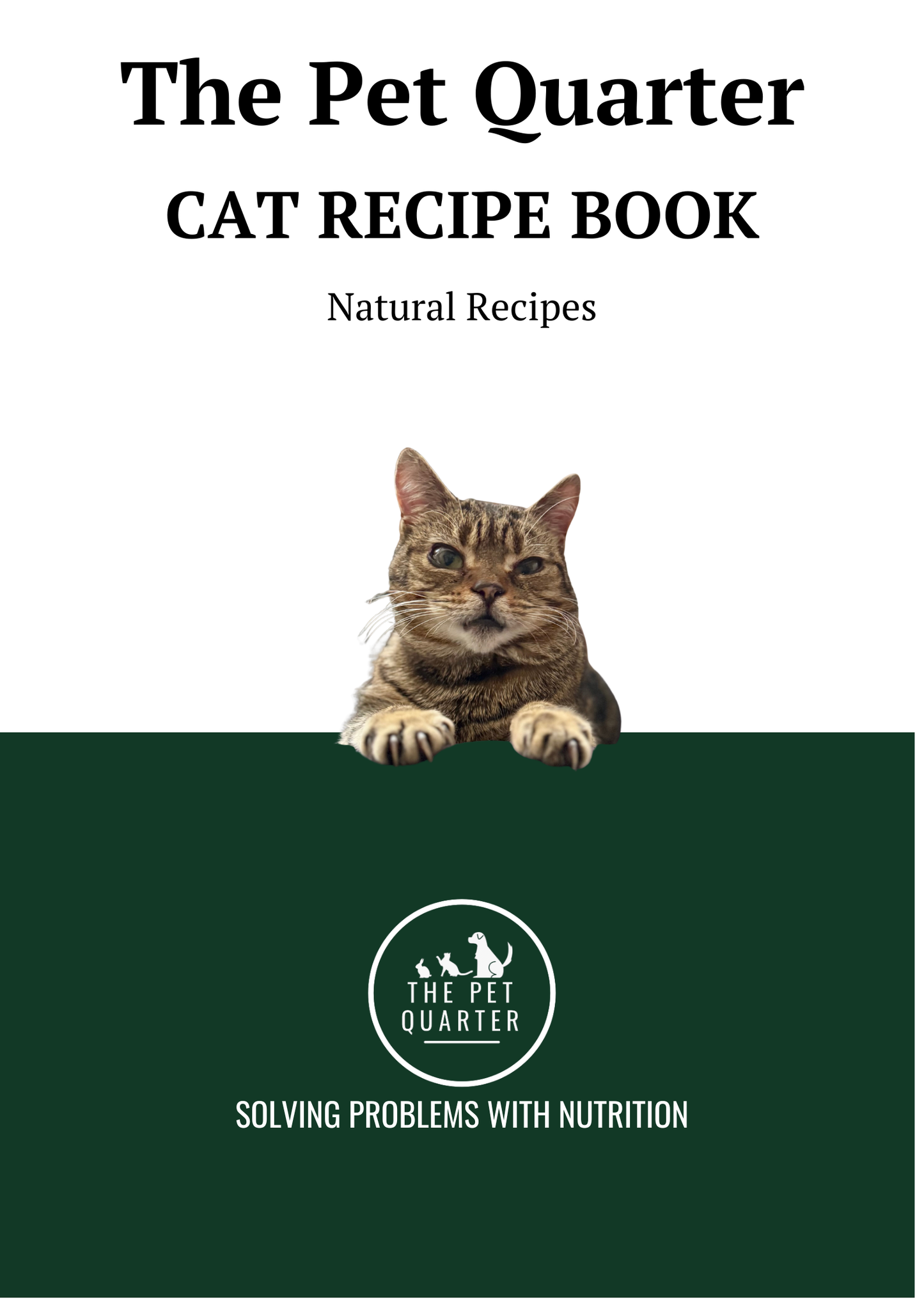 DIY Cat Feeding Guide - Digital Book