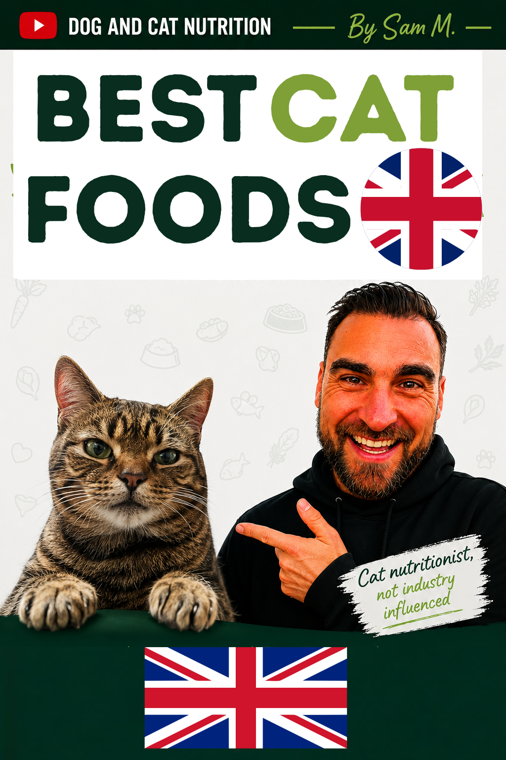 Best Cat Foods (UK Edition)