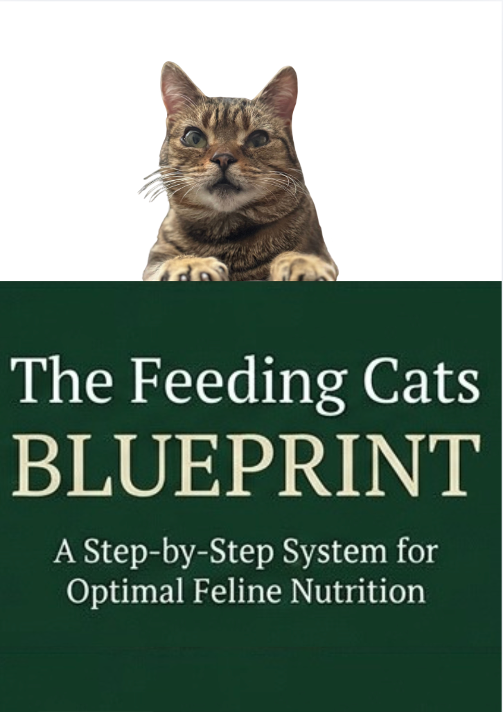 Cat Feeding Guide - How to Feed Your Cat for Optimum Health