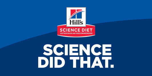 🔴 BREAKING - $2.6 Billion DCM Lawsuit Against Hill’s Pet Nutrition