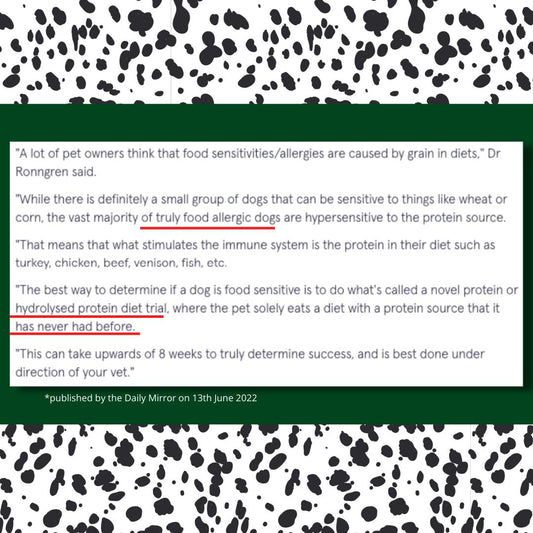 Why The Media is Lying To You About Dog Food.