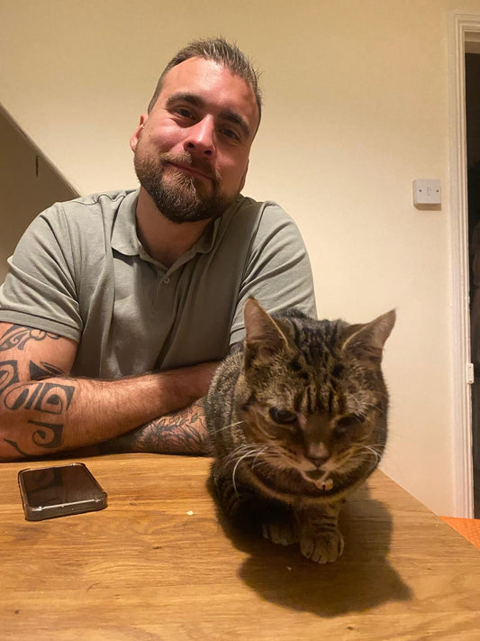 How To Treat Diabetes In Cats At Home (FREE SEMINAR)