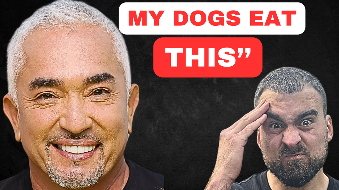 Reacting To Cesar Millan's WILD Dog Food Advice