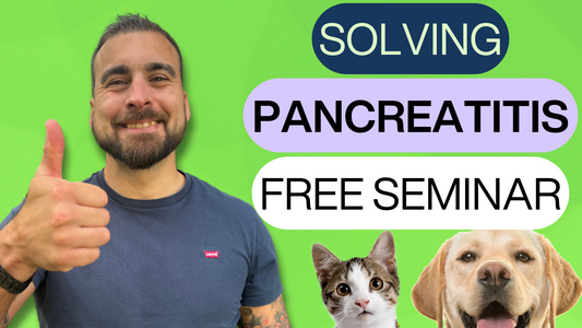 How To Treat Pancreatitis In Dogs and Cats At Home (FREE SEMINAR)