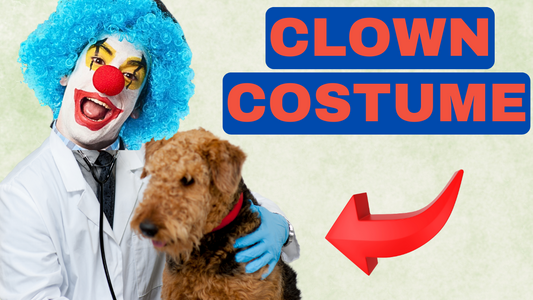 The DISTURBING Rise Of VET INFLUENCERS