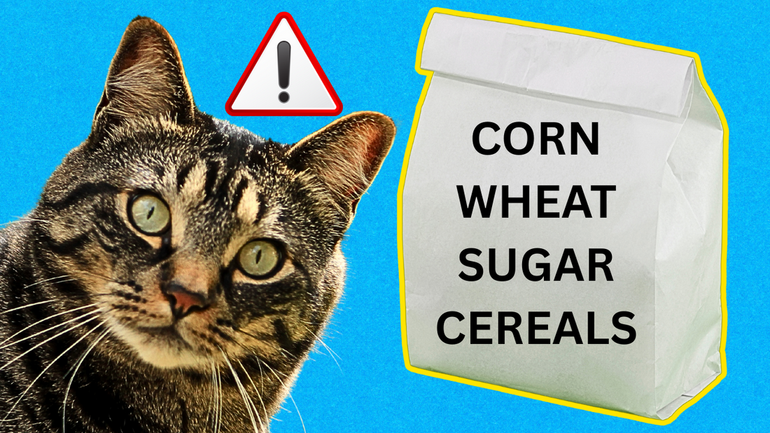 If Cats are Carnivores, Why Does Cat Food Contain so Little Meat?