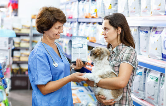 Why Are Some Vets Against Raw Dog Food?