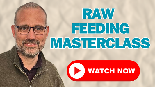 IS RAW DOG FOOD BETTER? Feat Raw Pet Medic Dr Brendan Clarke