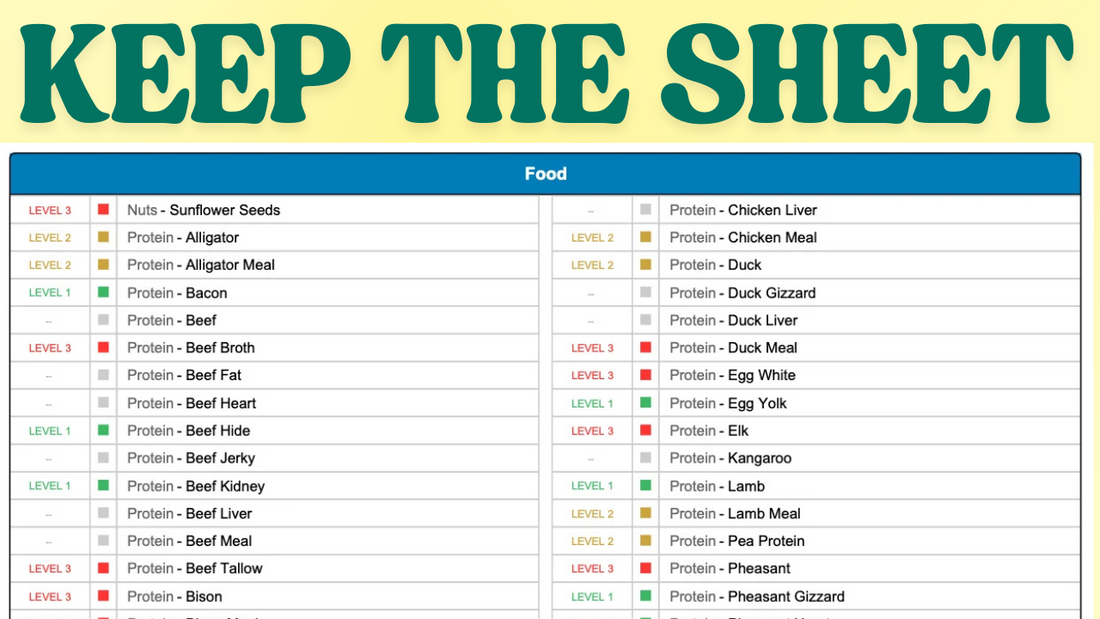 How to Read Your Dog's Allergy Test Sheet
