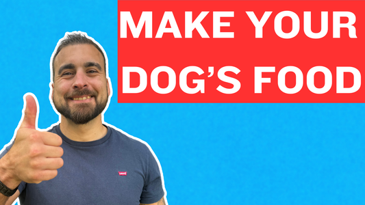 Free Affordable Homemade Dog Food Recipes!