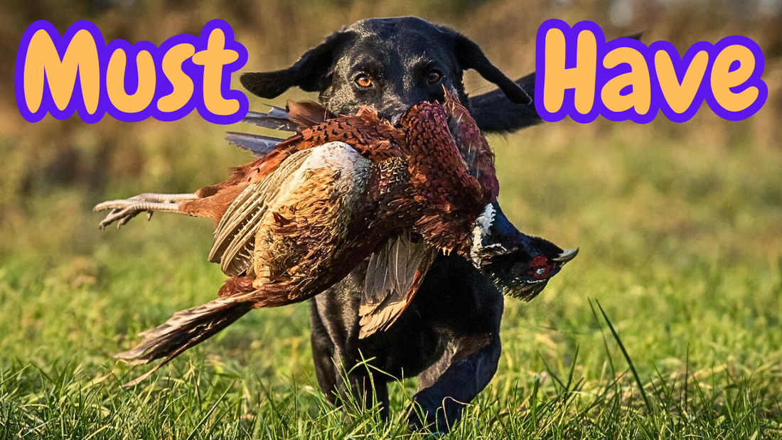 3 Must Have Gundog Training Items. Working Dog Training Toys