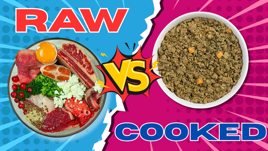 Cooked Vs Raw Dog Food, Which One Is Best?