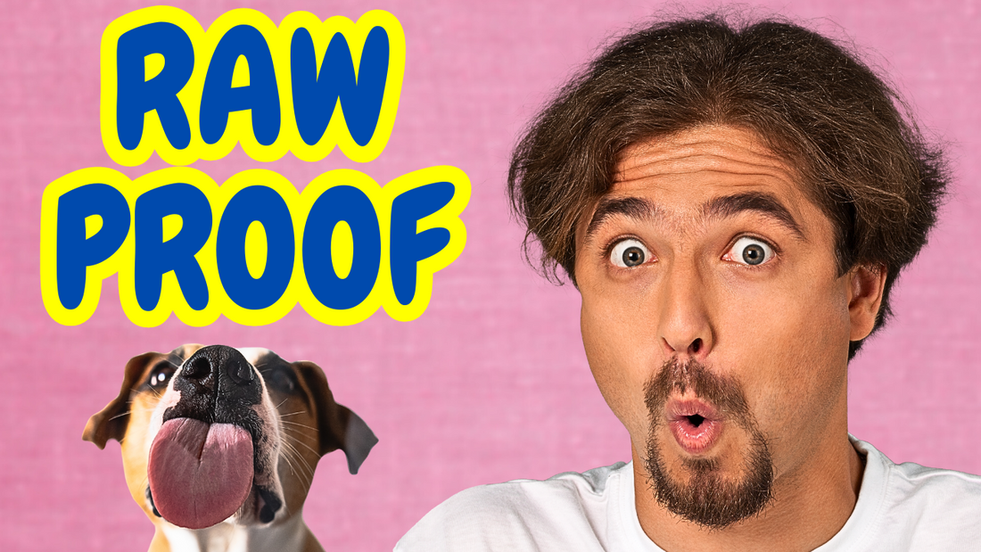 Is Raw Dog Food Safe? - The Answer Might Surprise You