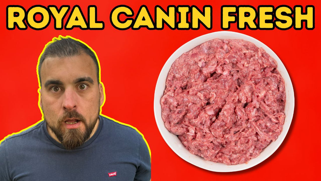 ROYAL CANIN MOCKED FRESH FOOD FOR YEARS… Now They’re Selling It