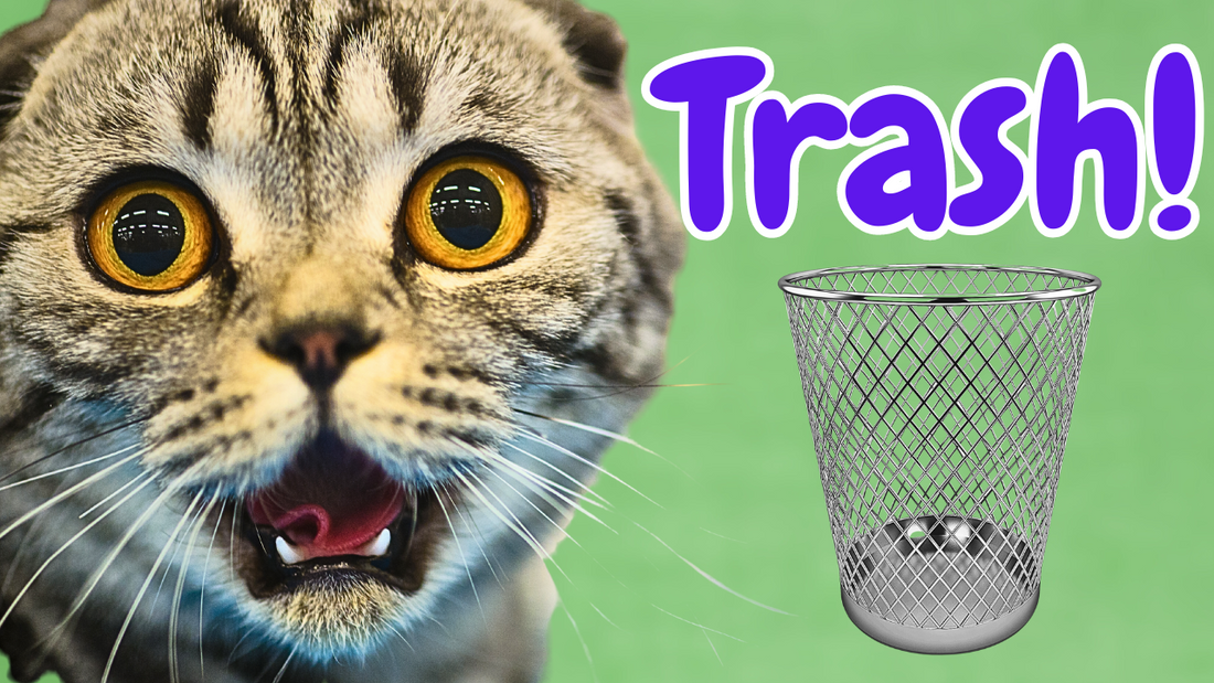 TOP 10 Worst Cat Foods Ranked