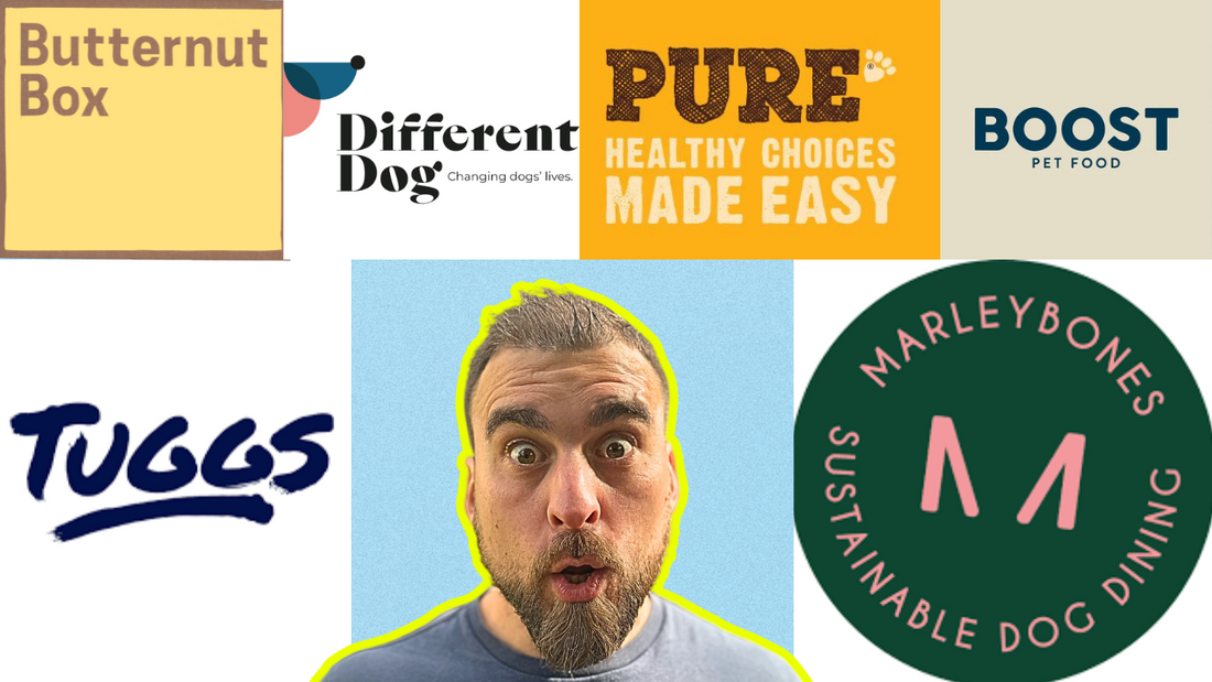 Best Dog Food Delivery Services Ranked