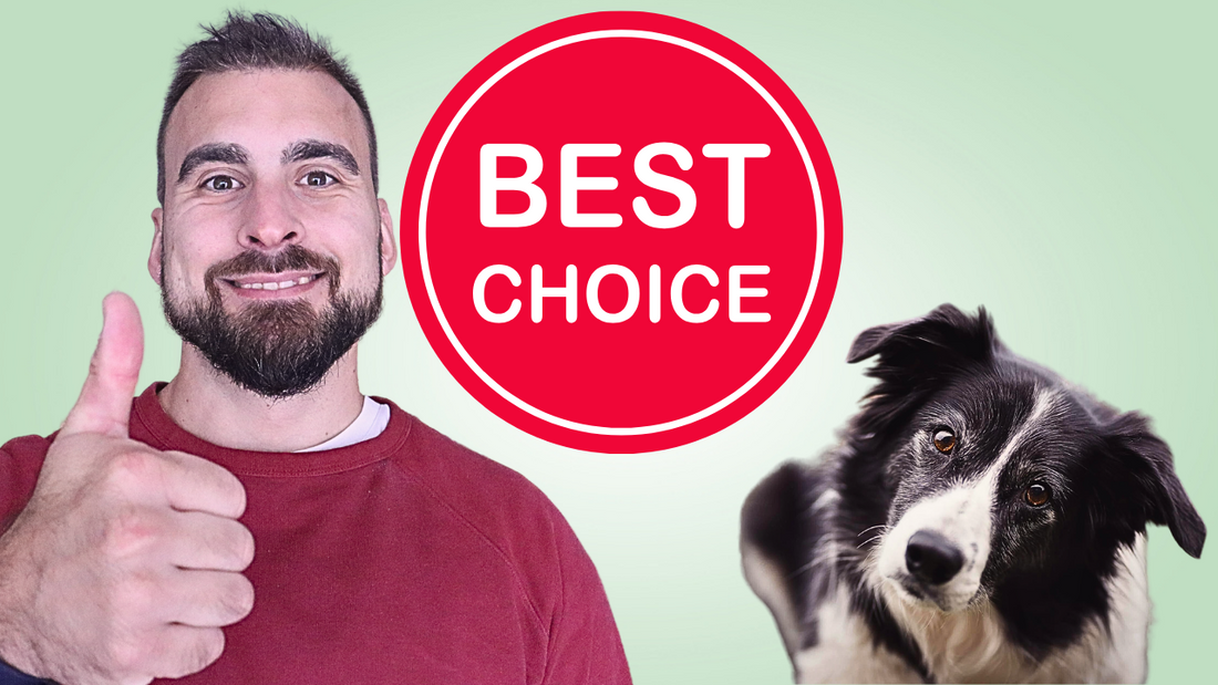 best dog food uk. Best dog food brands. 