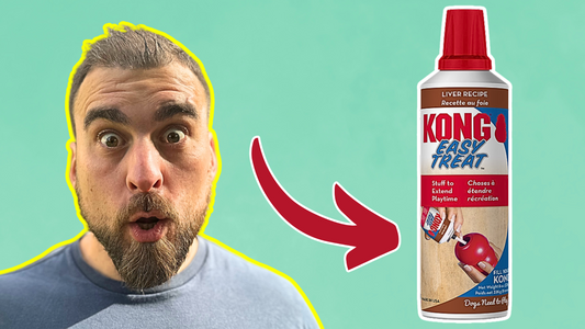 Is Kong Filling Healthy for Dogs?