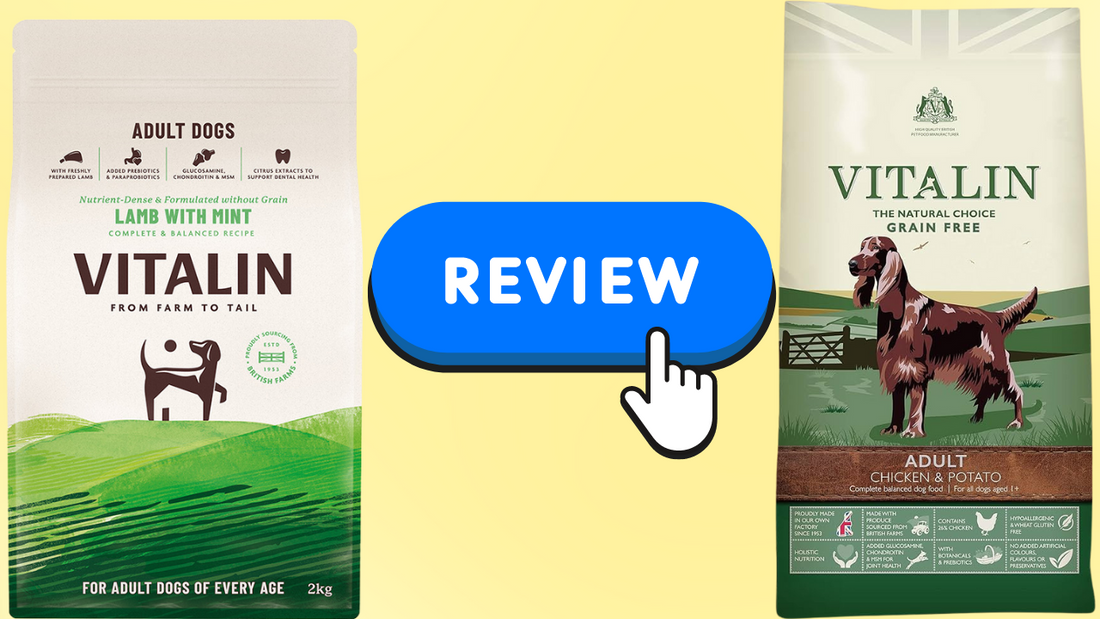 Vitalin Dog Food Review
