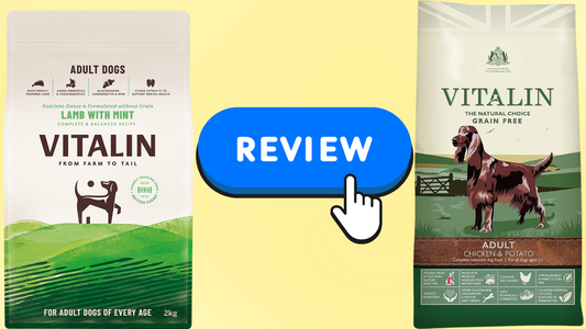 Vitalin Dog Food Review