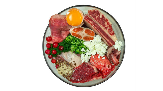 The BEST NATURAL Dog Food Toppers!