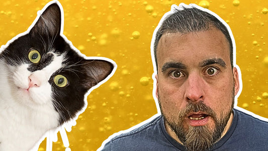 THE DANGERS OF SEED OILS IN CAT FOOD