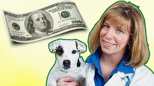 Dog Nutritionist Reacts To CRAZY Veterinarian Advice