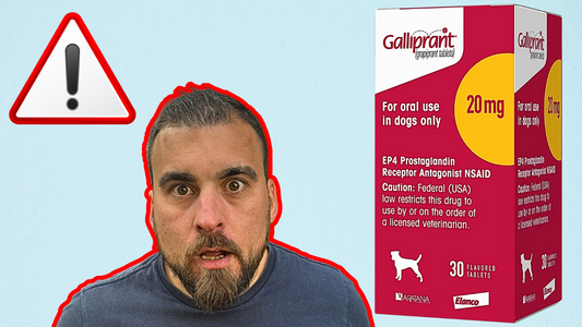 The Truth About Galliprant: What Vets Don’t Tell You