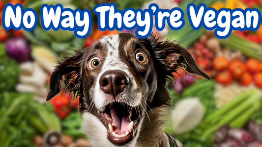 Top 5 Vegan Dog Treats. Packed with Nutrients Your Pup Will Adore!