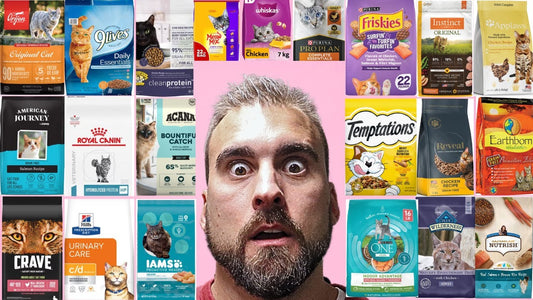 Ranking The Best Cat Foods On The Market in 2024 - An Honest Review