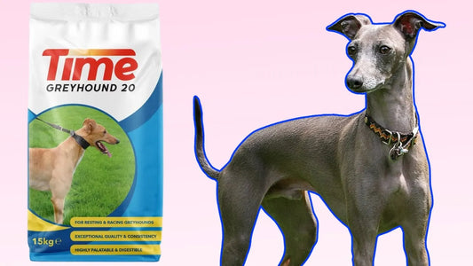 TIME GREYHOUND Dog Food Review - Best Greyhound Food?