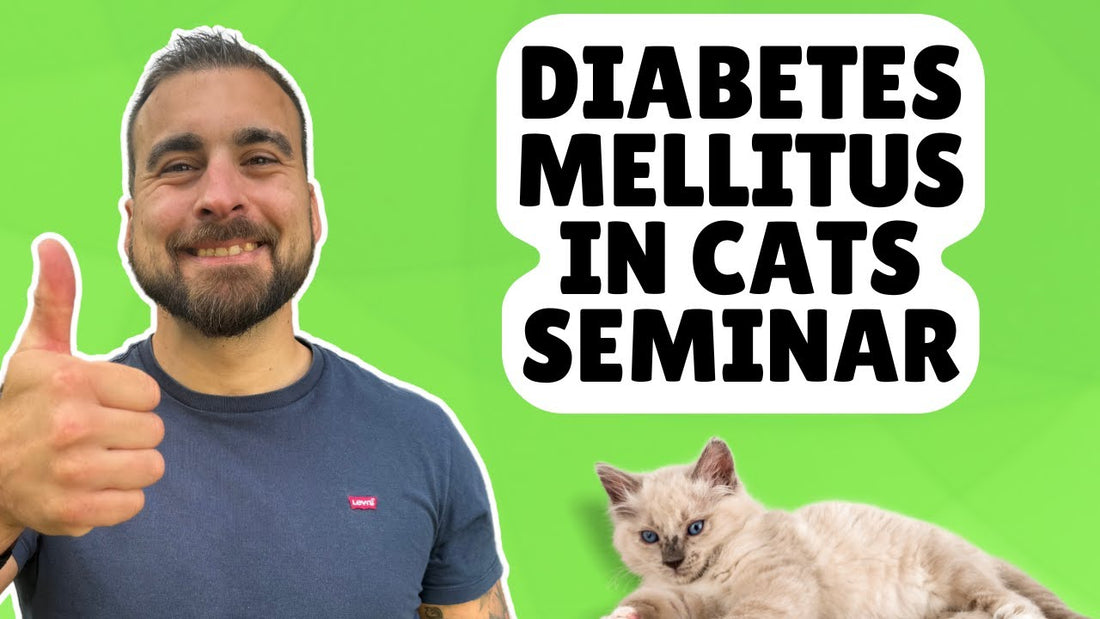 How To Treat Diabetes In Cats At Home (FREE SEMINAR)