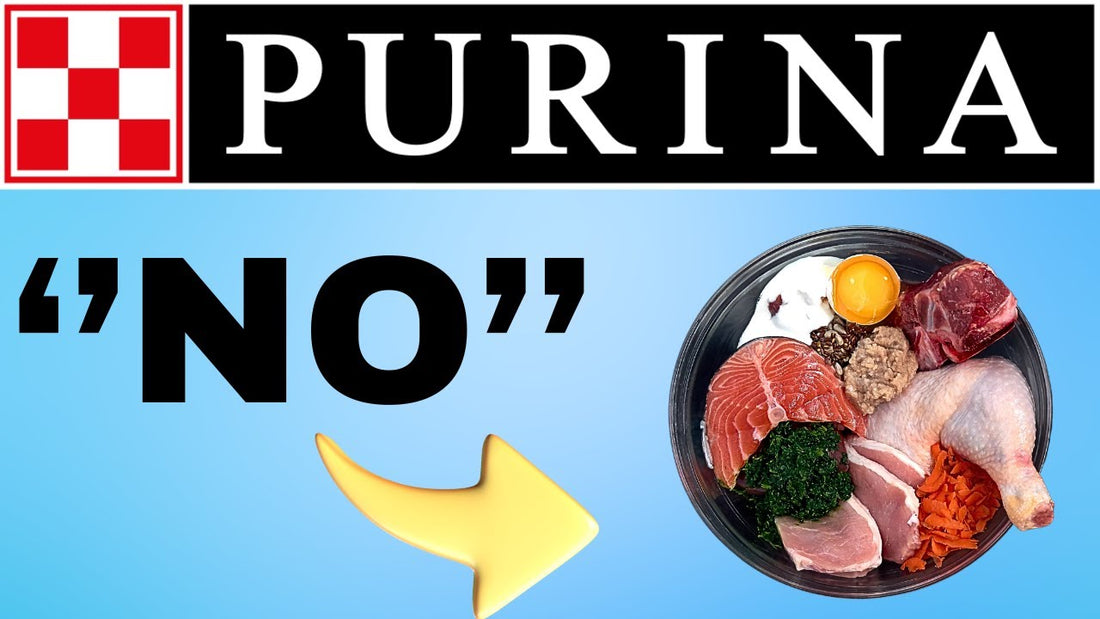 Purina declares war on raw pet food