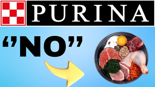 Purina declares war on raw pet food