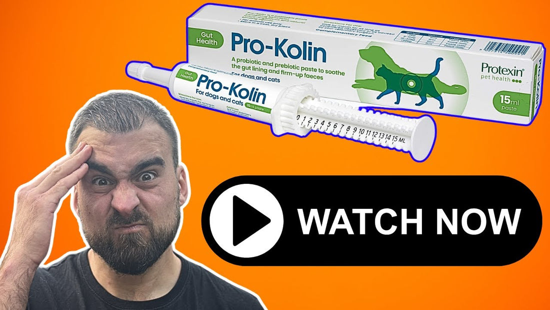 STOP Wasting Money on PRO-KOLIN Until You Watch This