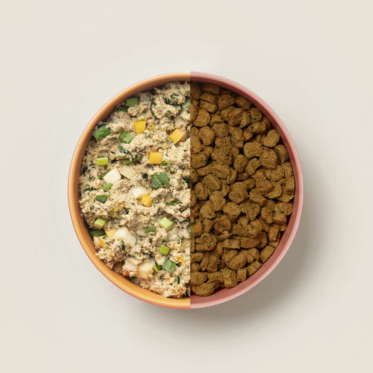 How to Transition a Dog to a New Food: A Step-by-Step Guide