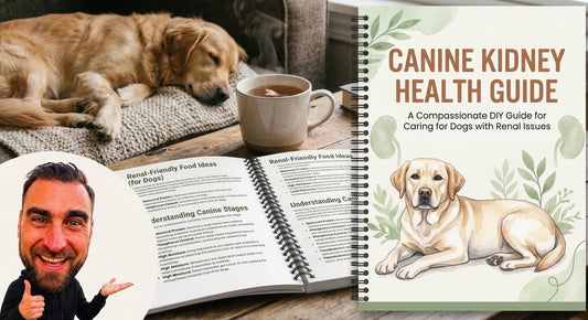 Canine Kidney Health Guide