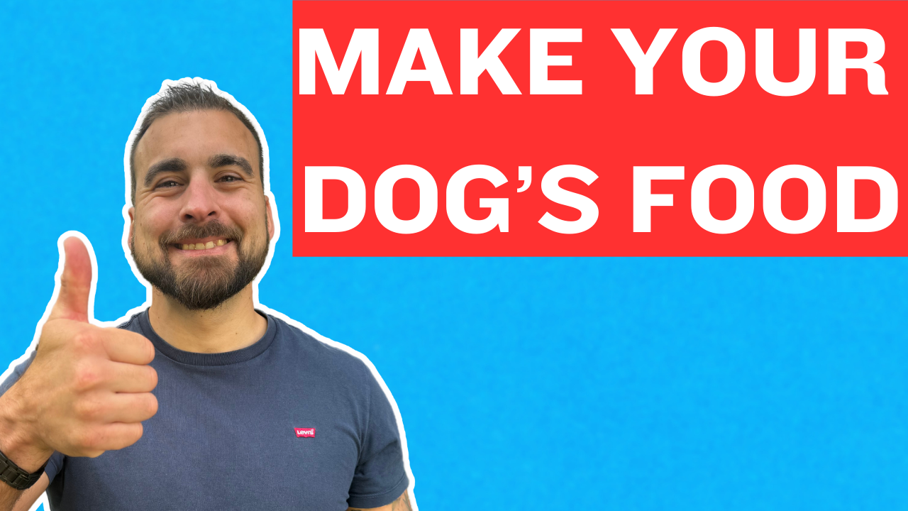 Learn How To Make Your Own Dog Food! (YOU NEED TO OPT IN)