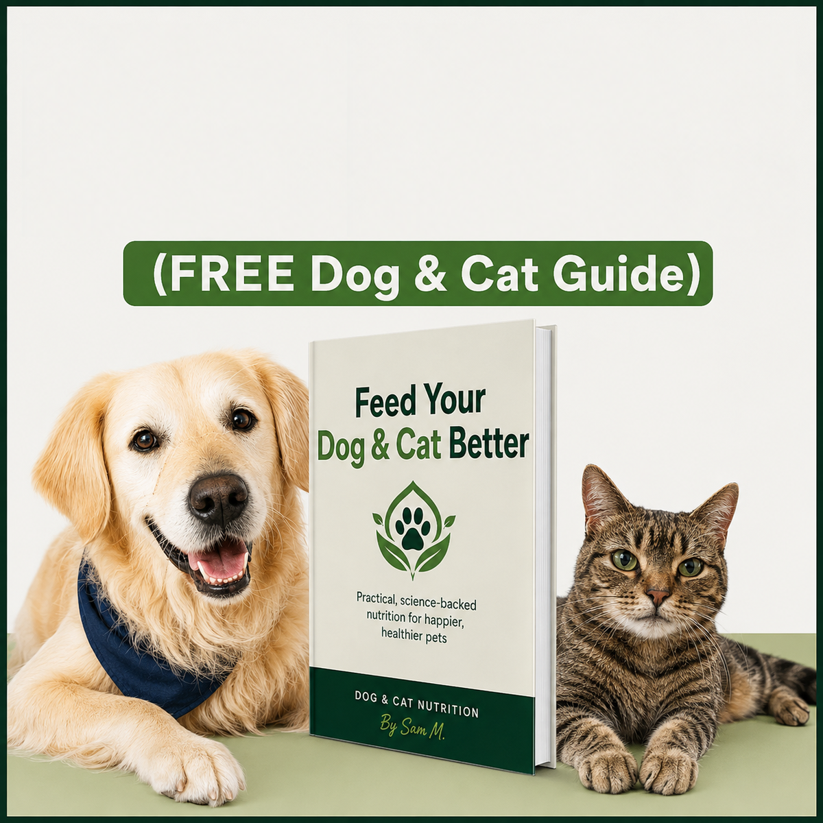 A happier, healthier life for your pet