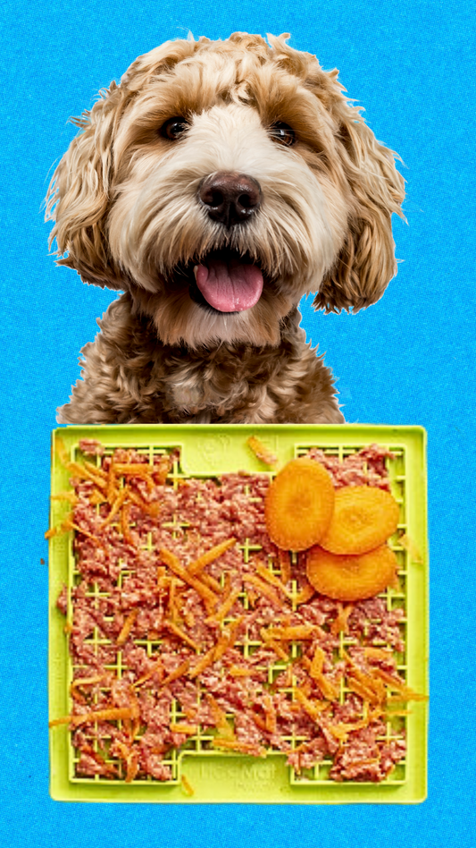 15 Lickimat Enrichment Ideas!