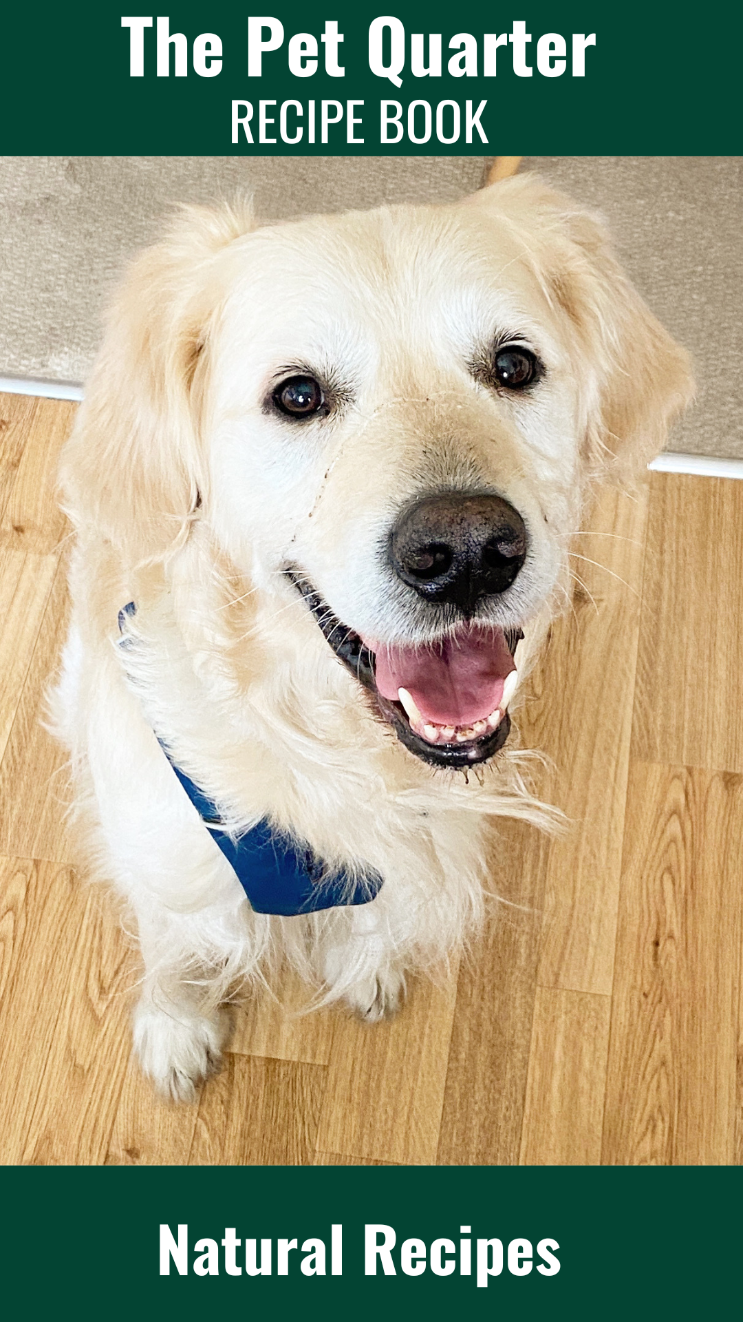 Easy DIY Dog Food Recipe Book