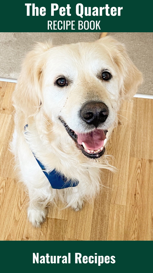 Easy DIY Dog Food Recipe Book