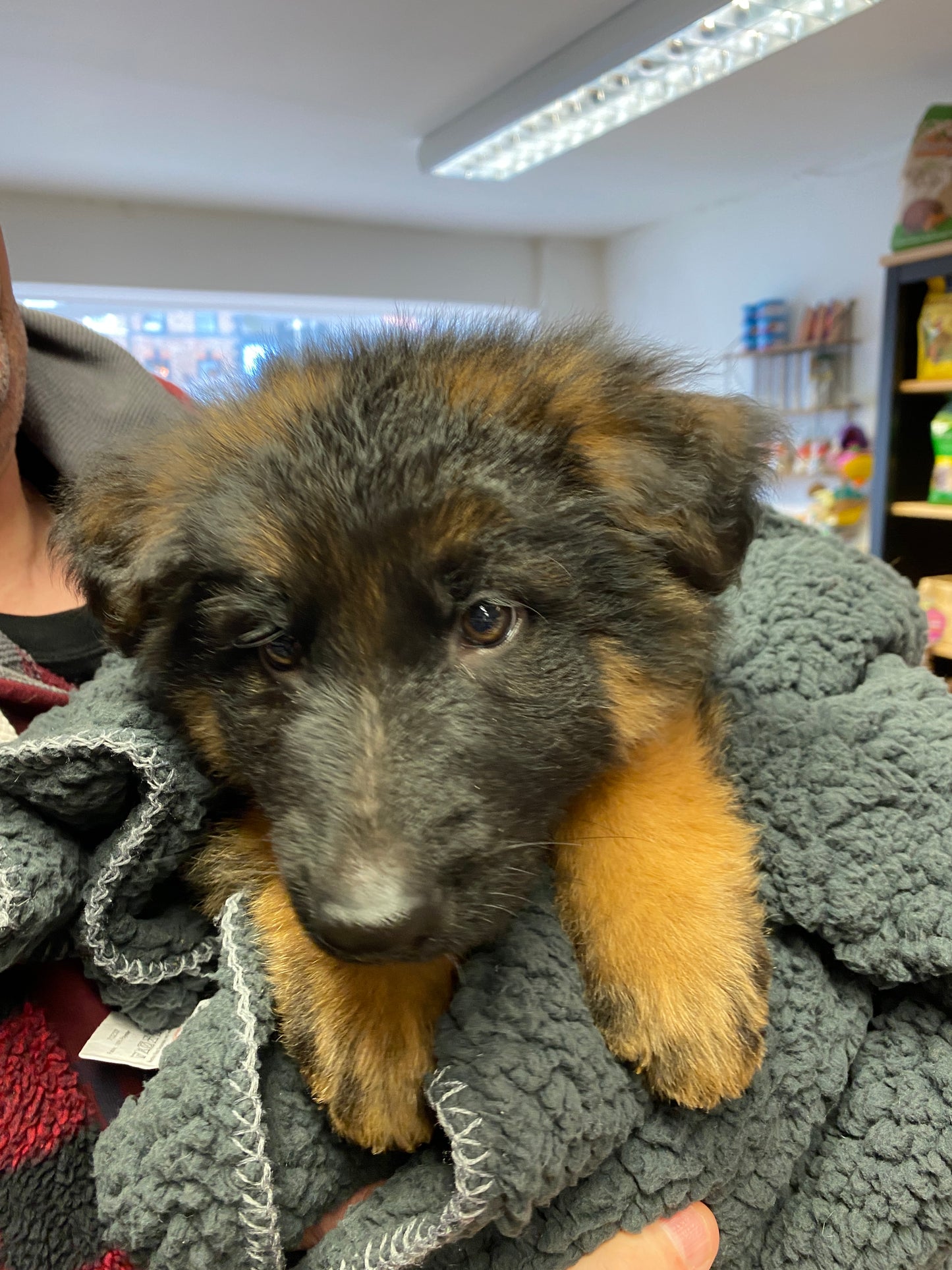 The Pet Quarter Gift Card