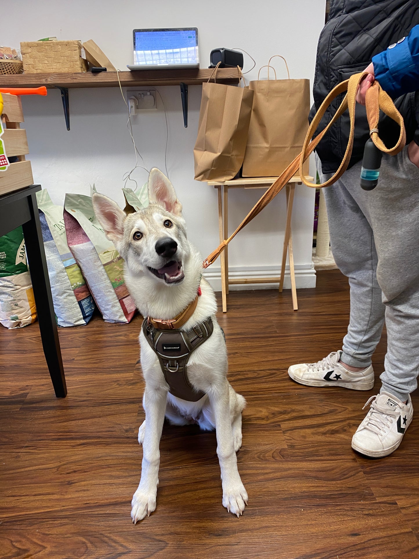 The Pet Quarter Gift Card